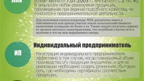 Что лучше: ИП или ТОО в Оджи