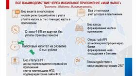 Что такое налог на капитал в Оджи