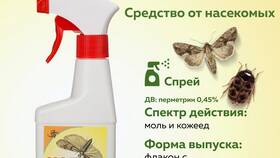 Эффективные методы борьбы с молью в Оджи