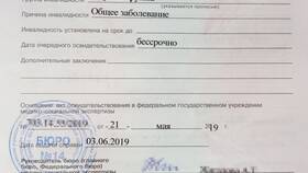 Функции комиссии по инвалидности (МСЭ) в Оджи