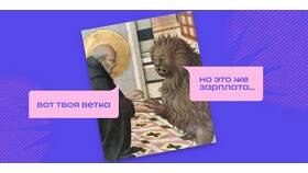 Как грамотно ответить на вопрос о размере зарплаты в Оджи
