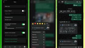 Как изменить голосовую почту в WhatsApp в Оджи