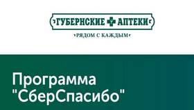 Как начисляются бонусы СберСпасибо в Оджи