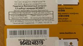 Как пополнить другой номер Билайн в Оджи