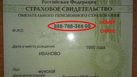 Как посмотреть СНИЛС на портале Госуслуг в Оджи