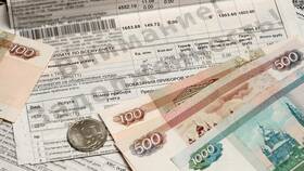 Как правильно оплачивать задолженность по займу в Оджи