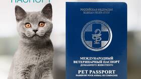 Как правильно заполнить ветеринарный паспорт в Оджи