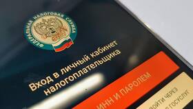 Как проверить сумму начисленных налогов в Оджи