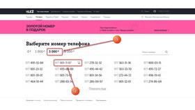 Как узнать информацию о тарифах и услугах Tele2 в Оджи