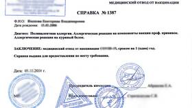 Как заказать справку об отсутствии контактов в Оджи