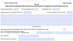 Как заполнить корректировку формы 6-НДФЛ в Оджи