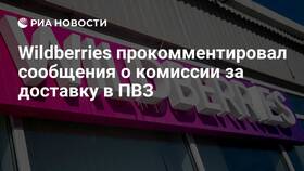 Почему доставка на Wildberries стала платной в 2024 году в Оджи