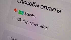 Почему в Додо Пицца нельзя оплатить наличными в Оджи