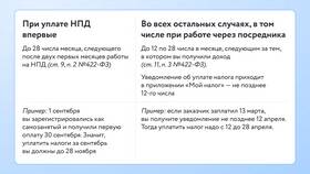 Получили ИП: что дальше в Оджи