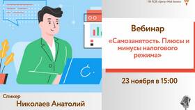 Самозанятость: преимущества и недостатки в Оджи