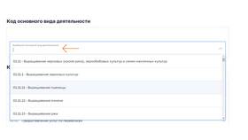 Влияние количества кодов ОКВЭД для ИП в Оджи