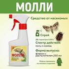 Эффективные методы борьбы с молью
