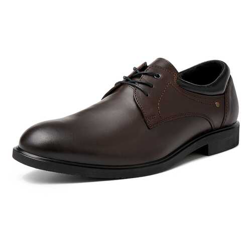 Туфли мужские Alessio Nesca M6208025 коричневые 40 RU в Оджи