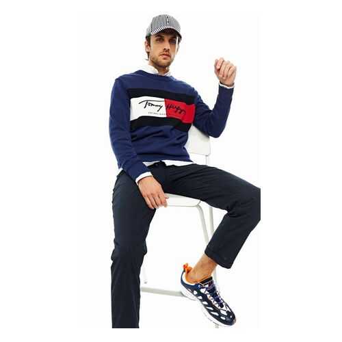 Джемпер мужской Tommy Hilfiger MW0MW14424 синий S в Оджи