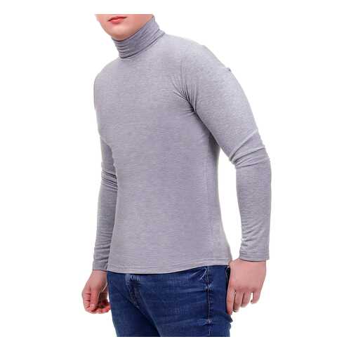 Водолазка мужская Rocawear R0119S86 серая XL в Оджи