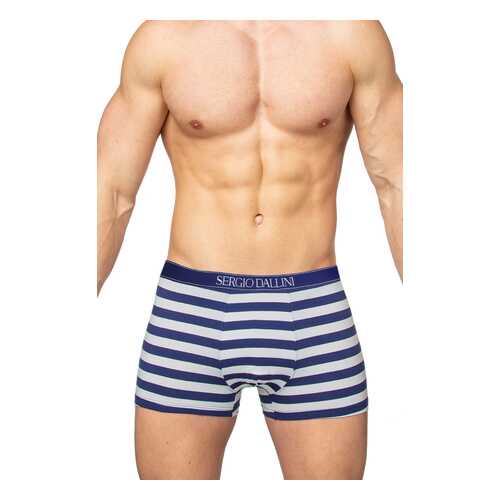 Трусы мужские SERGIO DALLINI SG2959 синие XL в Оджи
