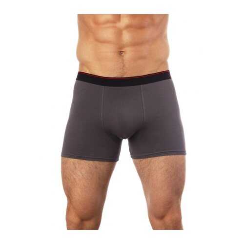 Трусы мужские UOMO FIERO 029FH серые L в Оджи